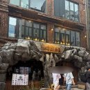 너구리 소굴 | [종각역 술집/종각맛집] 종각젊음의 거리 <너구리소굴> 방문후기🦝🤍