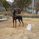 제우스농장 이미지