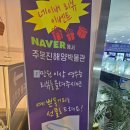 세계조개박물관 | 바다의 시간이 멈춘 곳, 강릉 주문진 해양박물관 — 숨겨진 해양 보물창고 탐험기