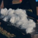 뜨락엔햇살 이미지