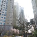 평택무지개약국 이미지