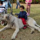 황새울공원 이미지