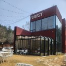 복용승마장 3층 | 대전덕명동카페 숲속힐링뷰[레포레스트] 느좋카페 솔직후기