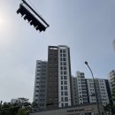 하이오커피파주운정초롱꽃