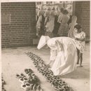 뮤지엄 한미 이미지