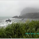 [제주맛집/성산일출봉근처맛집/우리봉식당]제주에 왔으면 먹어줘야 하는 제주은갈치조림과 우리봉뚝배기 이미지