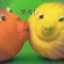 피씨 온 이미지