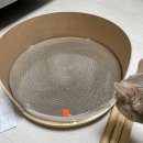 펫라운지(PET LOUNGE) 이미지