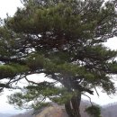 홍천 매봉산