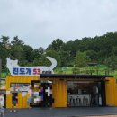 진도개 53카페 이미지