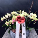 남구미요양병원 이미지