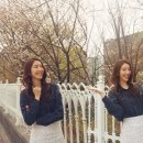 장준유 카카오 검색결과