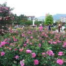 성산구 ⓒ-10 이미지