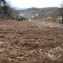 협동농장 이미지