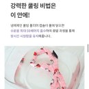 위드미 화성효행로점 | 4월 일상