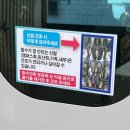 수정빨래방세탁