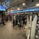 고릴라짐 이미지