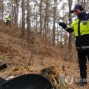덕진인공수정 연합뉴스