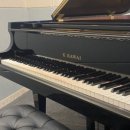 와이스튜디오(Y studio)