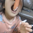 진해 용원어시장 신항 가보자대게 후기