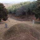 박팽년선생유허비 이미지