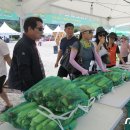 안내면행정복지센터 이미지