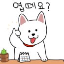 메다카갤러리 네이버블로그