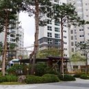 대치1-111 이미지