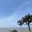 고두섬횟집 이미지