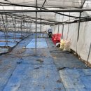 송아리농장 이미지