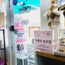 대박애견용품점