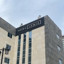 루미아 호텔 | [서울] 루미아 호텔 명동 내돈내산 후기