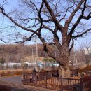 구성도서관 이미지