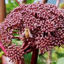 고남농장 이미지