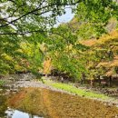 강천산군립공원(강천사) 이미지