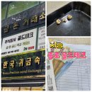 종로 치금 매입 골드테크 후기 인레이 크라운 금니빨 정리