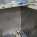 미소가가득한집 이미지
