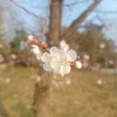 삼봉1리 이미지