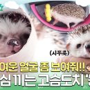 따봉 이미지