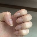 살롱드지젤