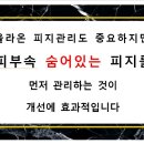 모범약초