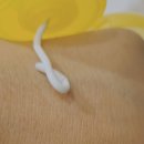 피부체인지 | 민감한 아기 피부를 위한 비올란 다이아퍼 체인지 크림 사용후기