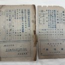 현대 교육사