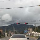 코스모스 산업 | [여행] 제천여행 의림지 중앙시장 천연물산업엑스포 관람후기