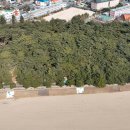 송림공원 건너 이미지