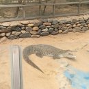 행정사김택사무소 이미지