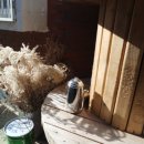 STAY Guest house 이미지