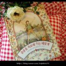 슬픔을 치료해주는 비밀책 이미지