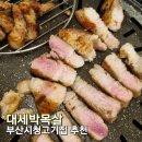 대세 박목살 시청점 | [맛집탐방] 부산시청 고기집 대세박목살 후기