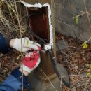 팔각정 경로당 이미지